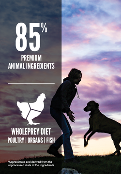 Orijen Puppy Large Breed Grain-Free Dry Dog Food Online now