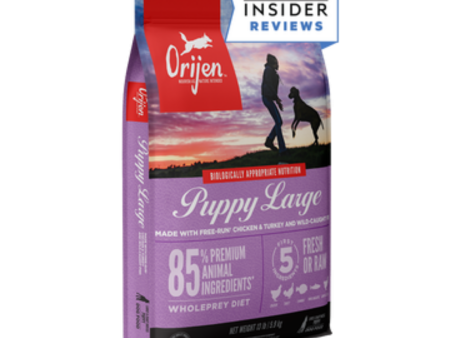 Orijen Puppy Large Breed Grain-Free Dry Dog Food Online now