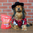 Stella & Chewy s Wild Weenies Game Bird Recipe Freeze-Dried Dog Treats 3.25 oz Hot on Sale