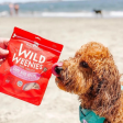 Stella & Chewy s Wild Weenies Game Bird Recipe Freeze-Dried Dog Treats 3.25 oz Hot on Sale