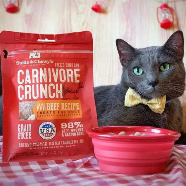 Stella & Chewy s Carnivore Crunch Grass-Fed Beef Recipe Freeze-Dried Dog Treats 3.25 oz Supply