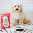 Stella & Chewy s Wild-Caught Whitefish Recipe Raw Coated Baked Kibble Dog Food Online Hot Sale