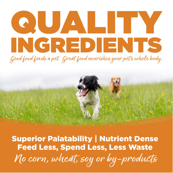 NutriSource Grain-Free Lamb Meal & Peas Formula Dry Dog Food Online now