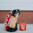 Stella & Chewy s Wild Weenies Cage-Free Chicken Recipe Freeze-Dried Dog Treats 3.25 oz Supply