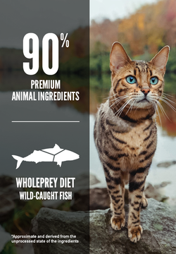 Orijen Six Fish Grain-Free Formula Dry Cat Food Supply