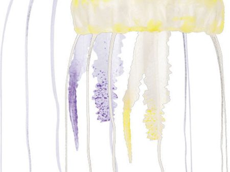 Aquatop Aquatic Supplies - Floating Jellyfish Decor Online Sale