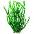 Aquatop Aquatic Supplies - Bushy Aquarium Plant With Weighted Base Online now