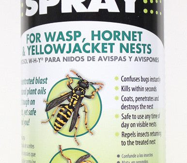 Sterling Intrntl Rescue - W-h-y Spray For Wasp Hornet & Yellow Jacket Nests Online now