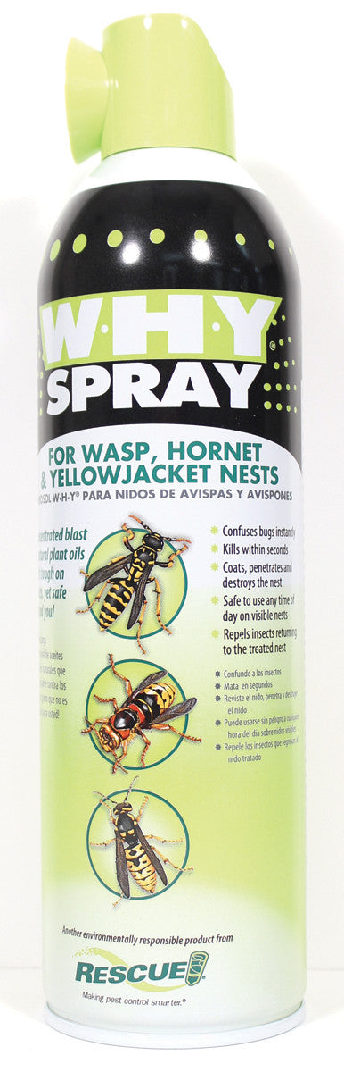 Sterling Intrntl Rescue - W-h-y Spray For Wasp Hornet & Yellow Jacket Nests Online now