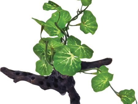 Aquatop Aquatic Supplies - Ivy On Driftwood Resin Aquarium Ornament Discount