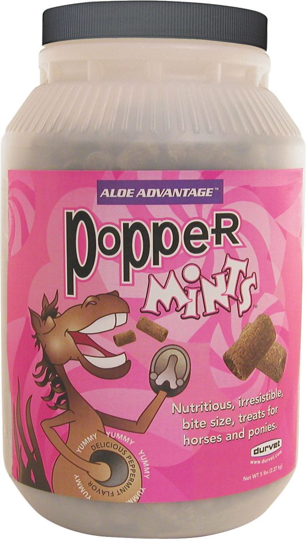 Durvet equine           D - Aloe Advantage Popper Mints Horse Treats Jar on Sale