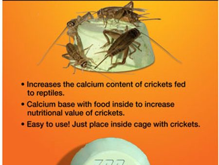 Zoo Med Laboratories Inc - Cricket Block Cricket Calcium And Gutload Block Supply