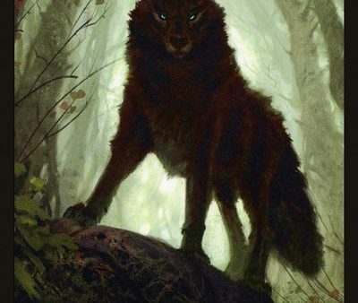 Wolf Double-Sided Token [Challenger Decks 2020 Tokens] Discount